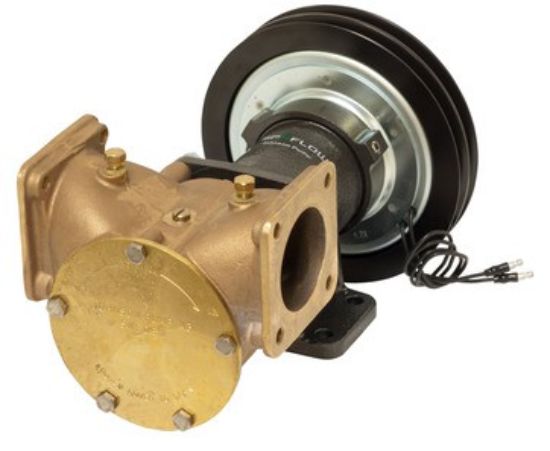 Picture of Sea Water Pump