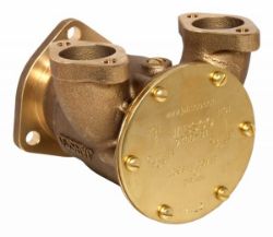 Raw Water Pump resmi