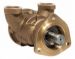 Raw Water Pump resmi