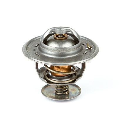 Picture of THERMOSTAT