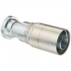 STEM ASSEM-COLLECT resmi