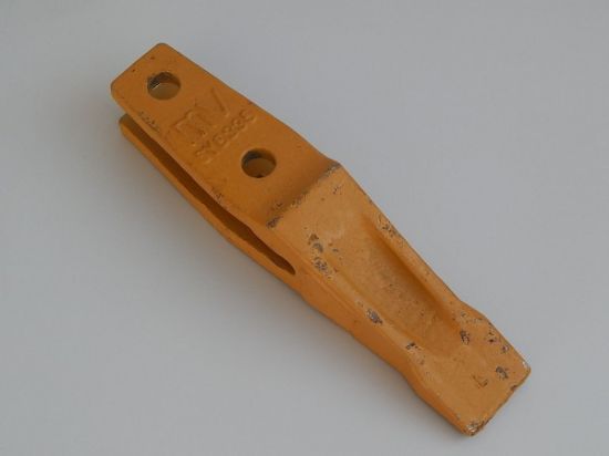 Picture of TOOTH-UNI