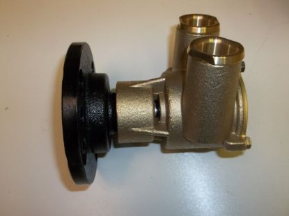 Picture of Sea Water Pump