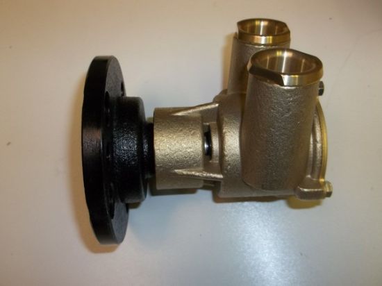 Picture of Sea Water Pump