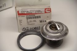 Thermostat resmi