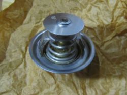 Thermostat resmi