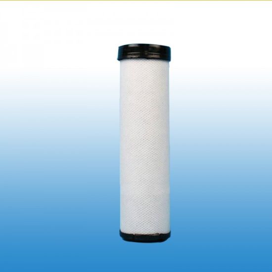 Picture of AIR FILTER