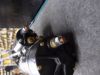 Picture of Starter Motor
