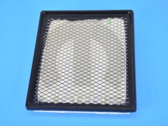 Picture of Air Filter