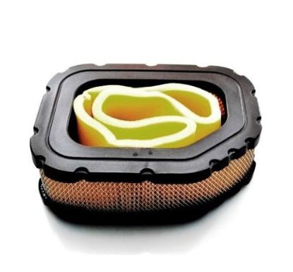 Picture of Air Filter