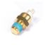 Water Temperature Sensor resmi
