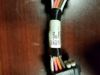 Picture of HARNESS