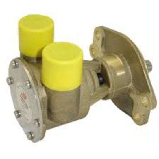 Picture of Water Pump