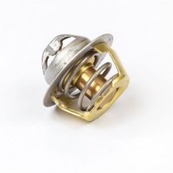 Thermostat resmi