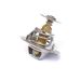 Thermostat resmi
