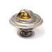 Thermostat resmi