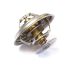 Thermostat resmi