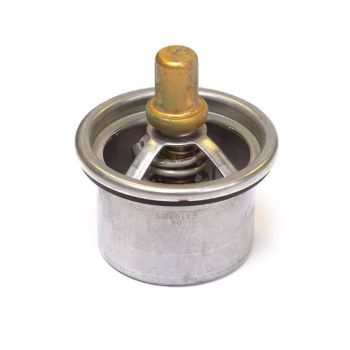 Thermostat resmi