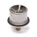 Thermostat resmi