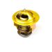 Thermostat resmi