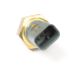 Air pressure sensor resmi