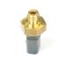 Air pressure sensor resmi