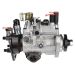 Fuel Injection Pump resmi