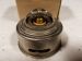 THERMOSTAT resmi