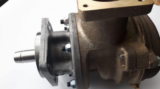 Picture of PUMP GP-AUXILIARY SEA WATER