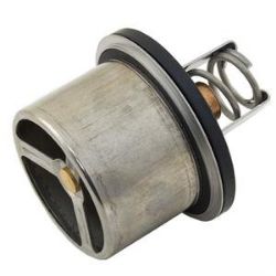 THERMOSTAT resmi