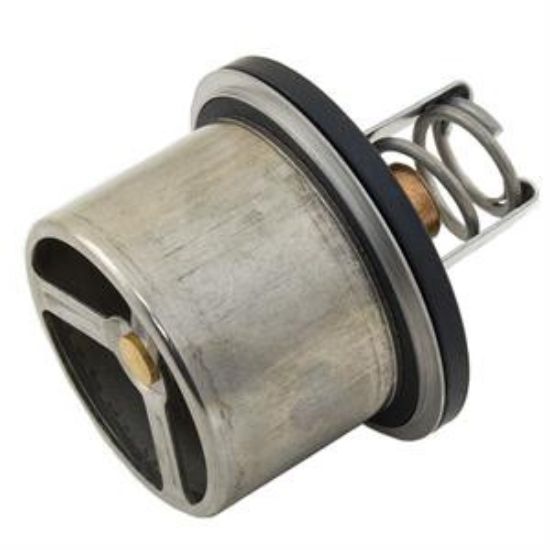 Picture of THERMOSTAT
