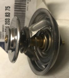 Thermostat resmi