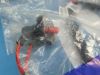 Picture of Wiring Harness