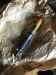ATOMIZER resmi