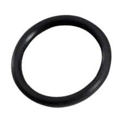 Picture of O-Ring