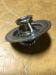 Thermostat resmi
