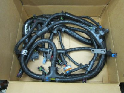 Picture of HARNESS