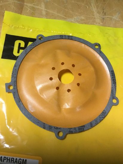 Picture of Diaphragm
