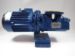 Oil Purifier Pump resmi