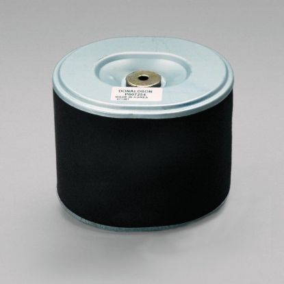 Picture of MAIN ELEMENT