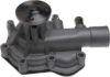 Picture of PUMP GP-WATER