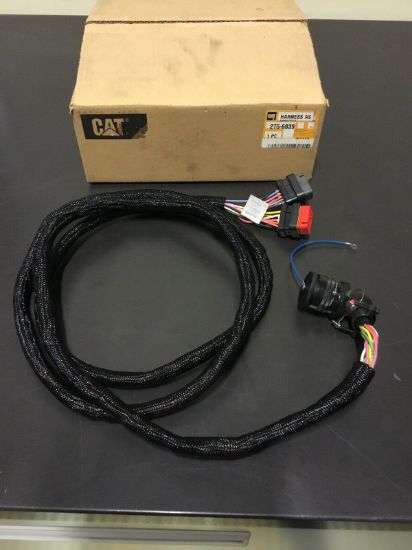 Picture of HARNESS