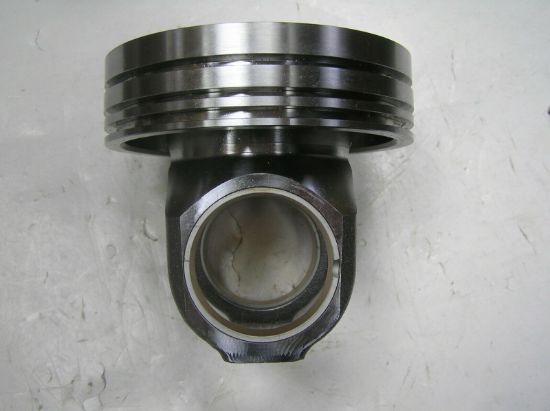 Picture of CROWN AS-PIS