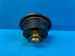 Thermostat resmi