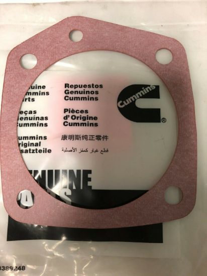 Picture of Water Pump Gasket