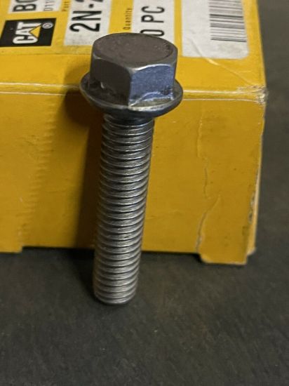 Picture of Bolt