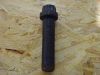 Picture of BOLT-12 POINT HEAD (1-14X4-IN)