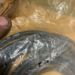 SEAL-O-RING resmi