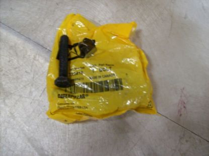 Picture of Bolt