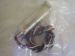PRESSURE TRANSMITTER resmi